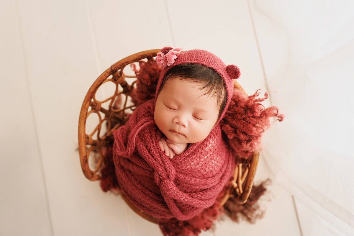 A Little Goose newborn portrait
