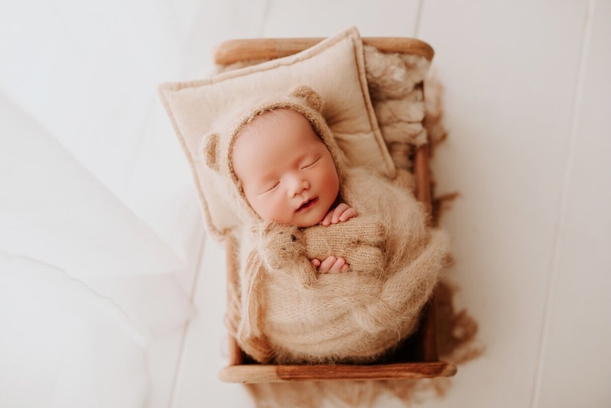 A Little Goose newborn portrait
