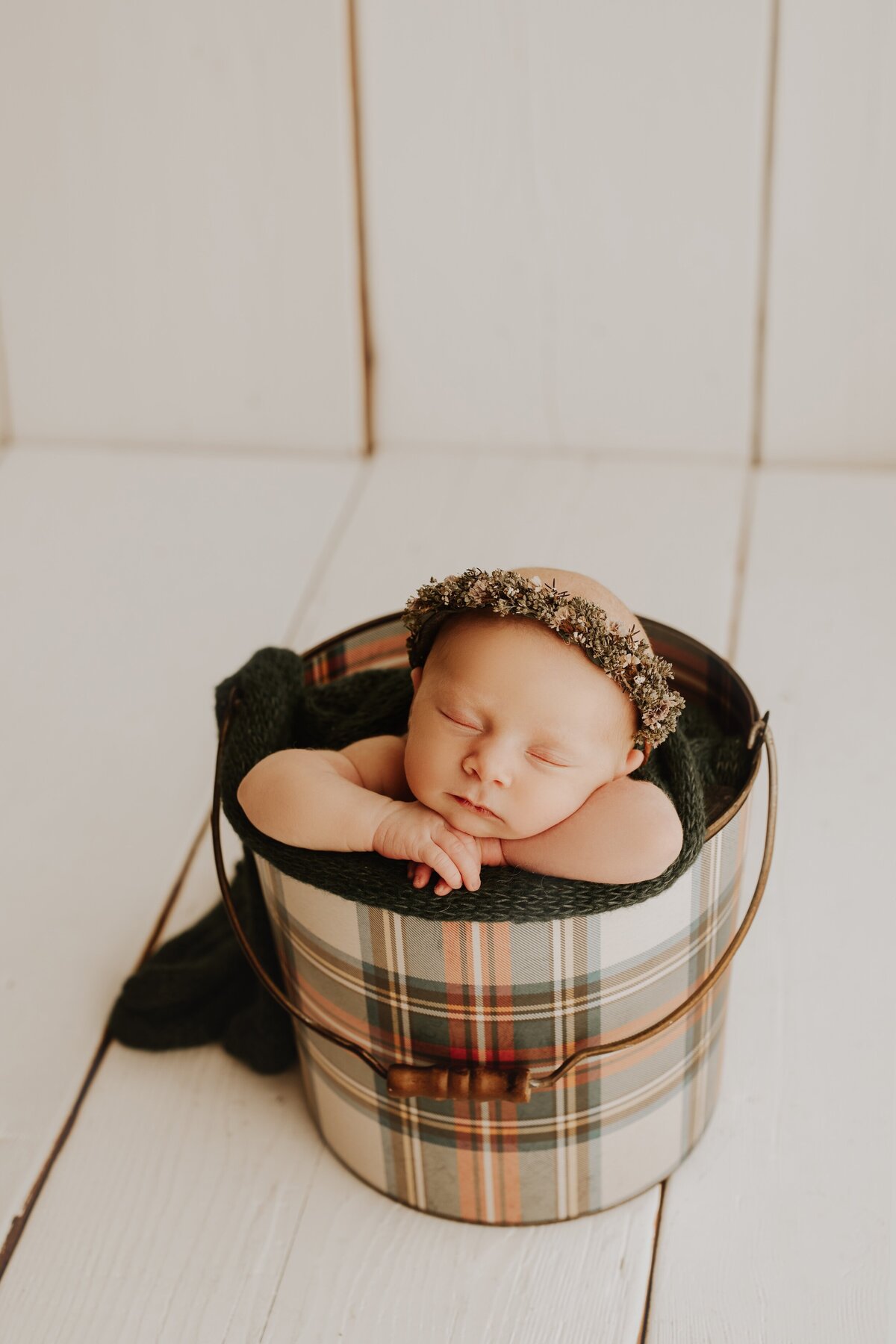 A Little Goose newborn portrait