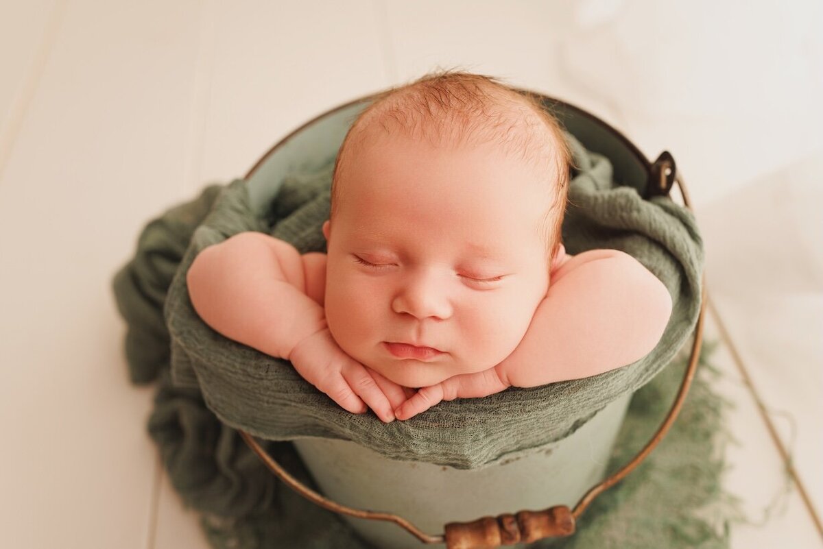 A Little Goose newborn portrait